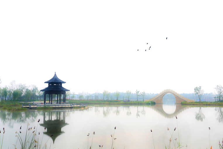 宿遷三臺山森林公園山林景區(含鏡湖區)07.jpg