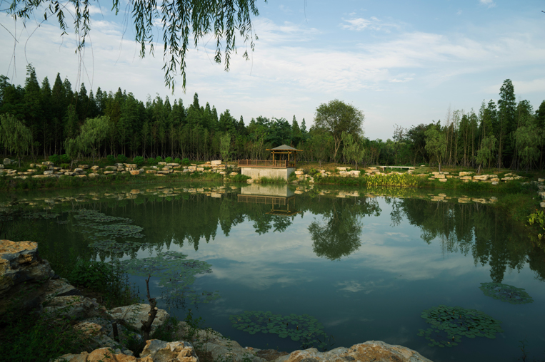 宿遷三臺山森林公園山林景區(含鏡湖區)03.jpg